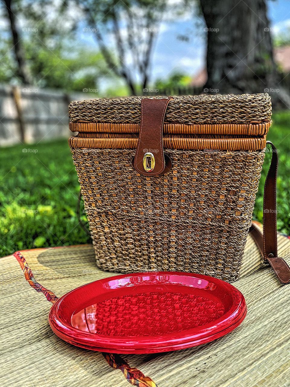 Picnic in the park, picnic basket with party supplies, summertime picnics outside, details of the picnic 