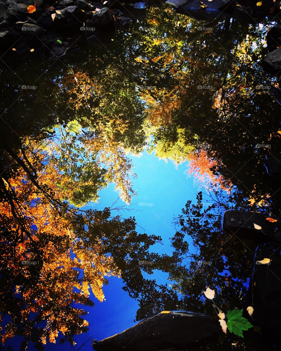 Reflections in water 