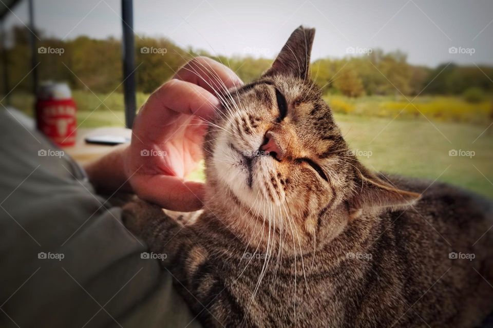 My Husband and His Friend Marvin 😻 sitting on the porch enjoying a nice moment on a beautiful fall day