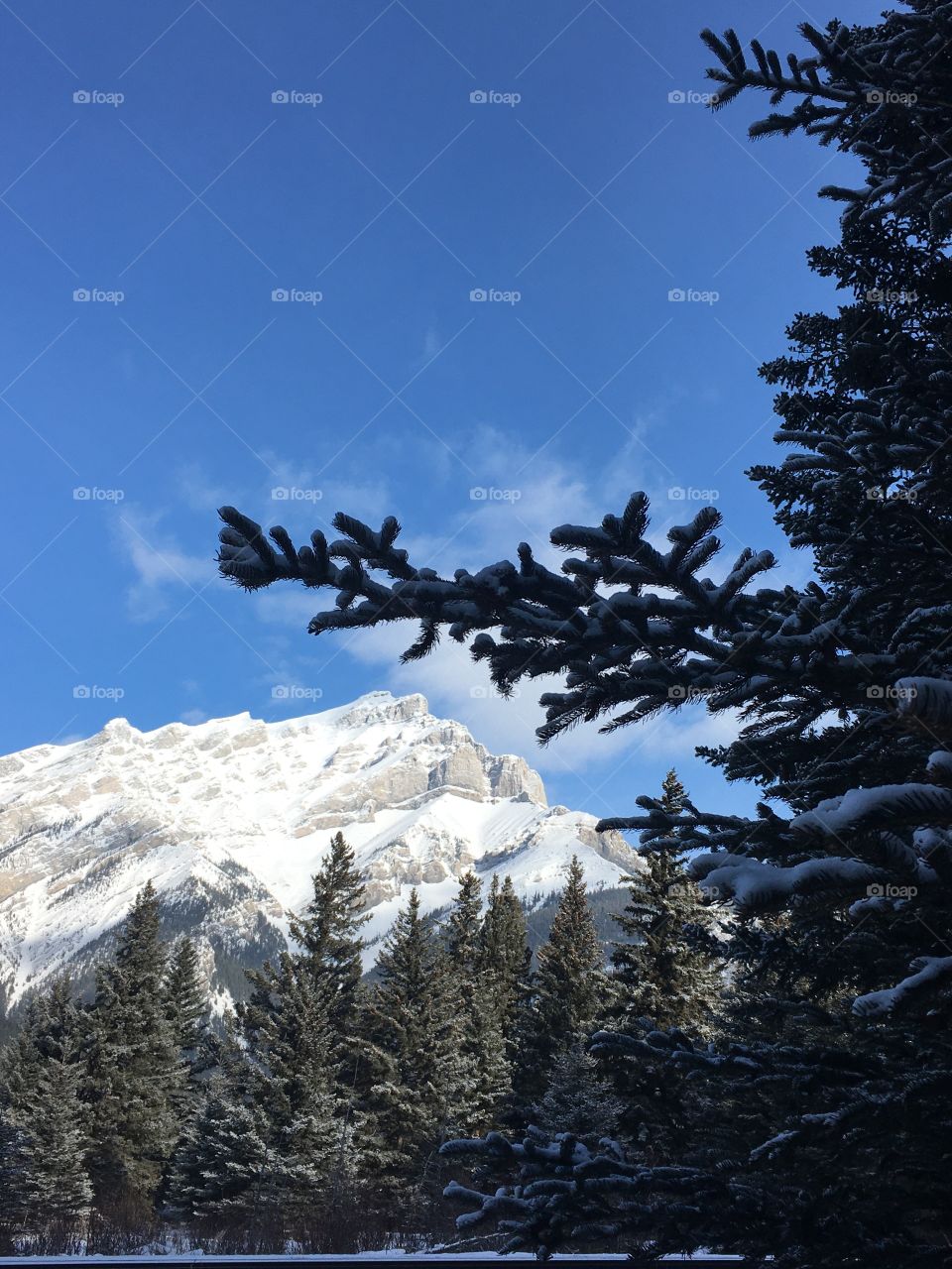 Nature Banff scenic 