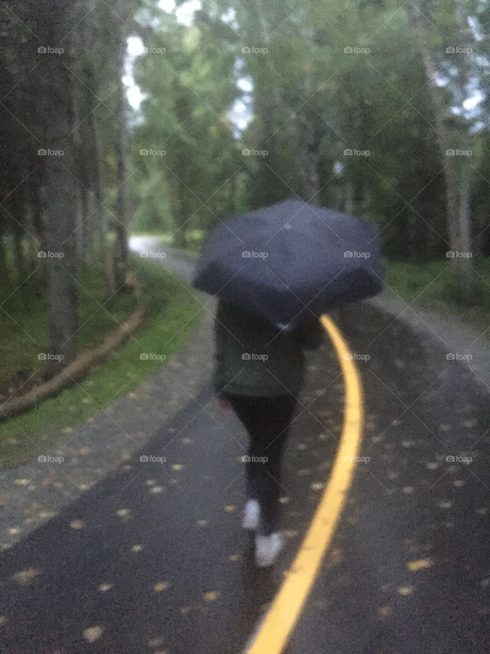 Walks on an Alaskan Rainy day help clear my mind. 