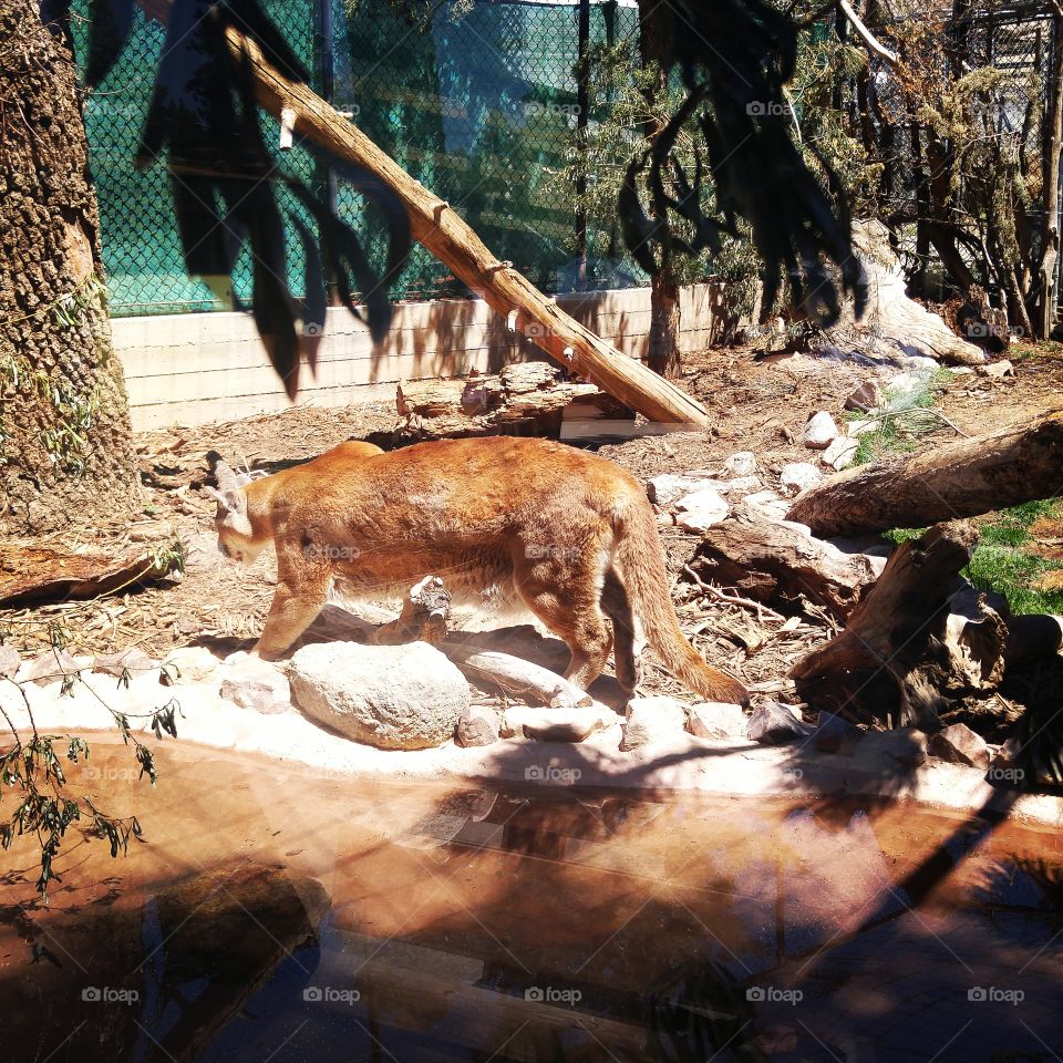 Every mountain biker's nightmare