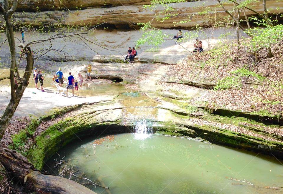 Nature Forest Water