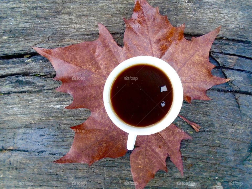 Wood, Fall, Leaf, Maple, No Person