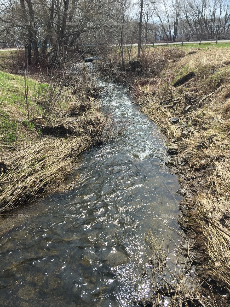 Springtime stream river