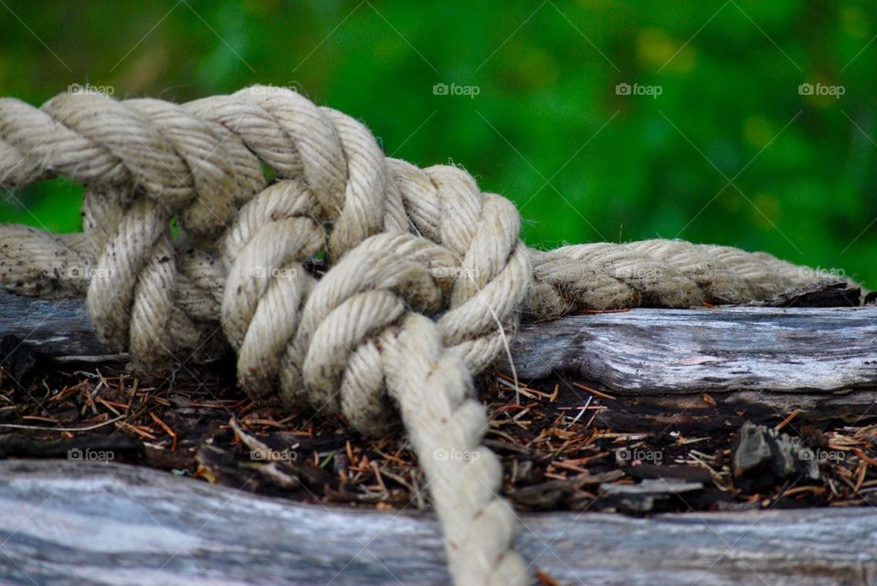 Rope and log 