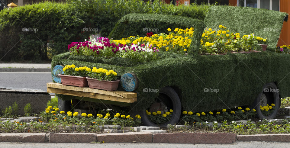 summer Flowerbed in the shape of a car . green , red and yellow flowers. bright colors of summer concept!