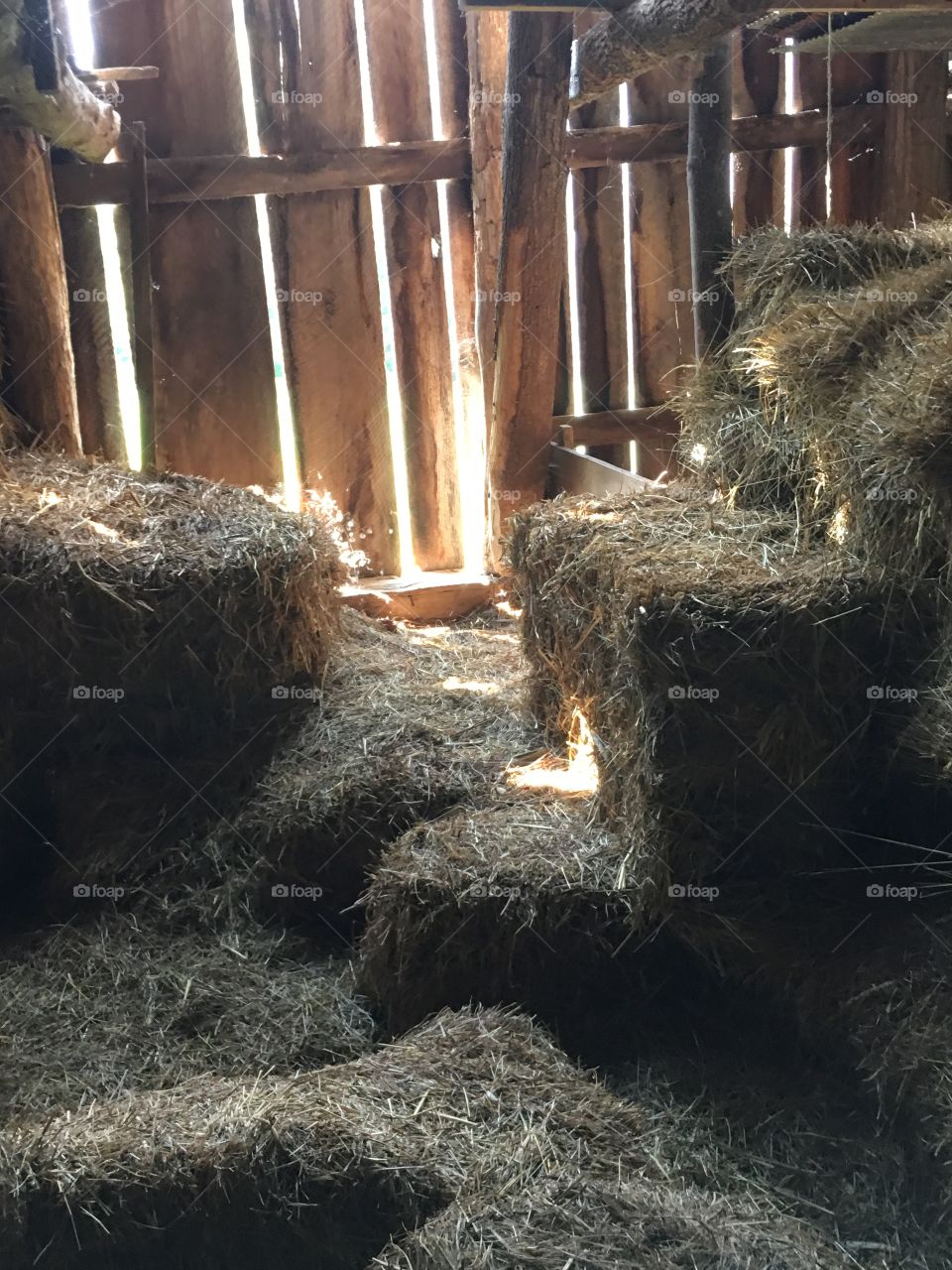  Hay stacked in barn