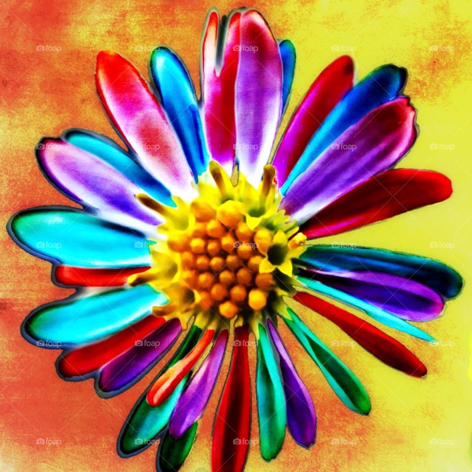 flower colorful art artistic by Dr_Cornwallis