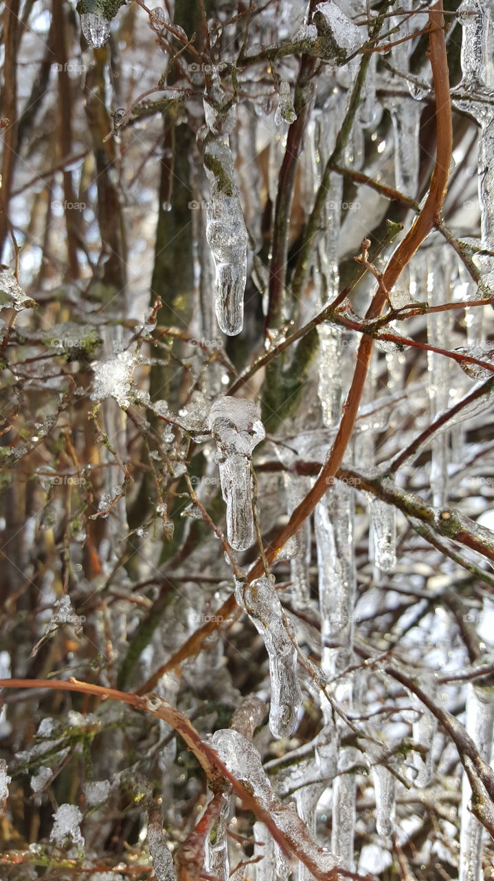 ice formation.