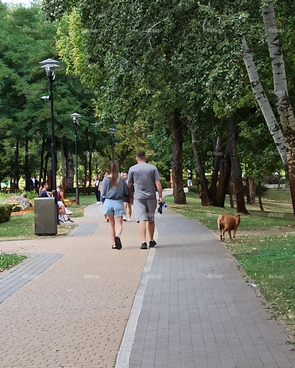 Tenderness Series: Couples