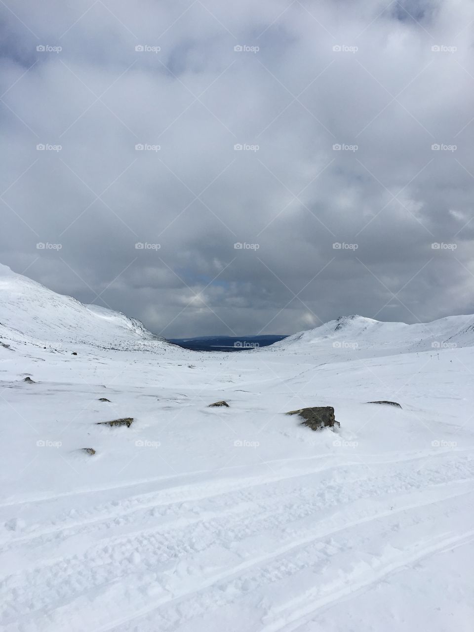 Winter in the mountain 