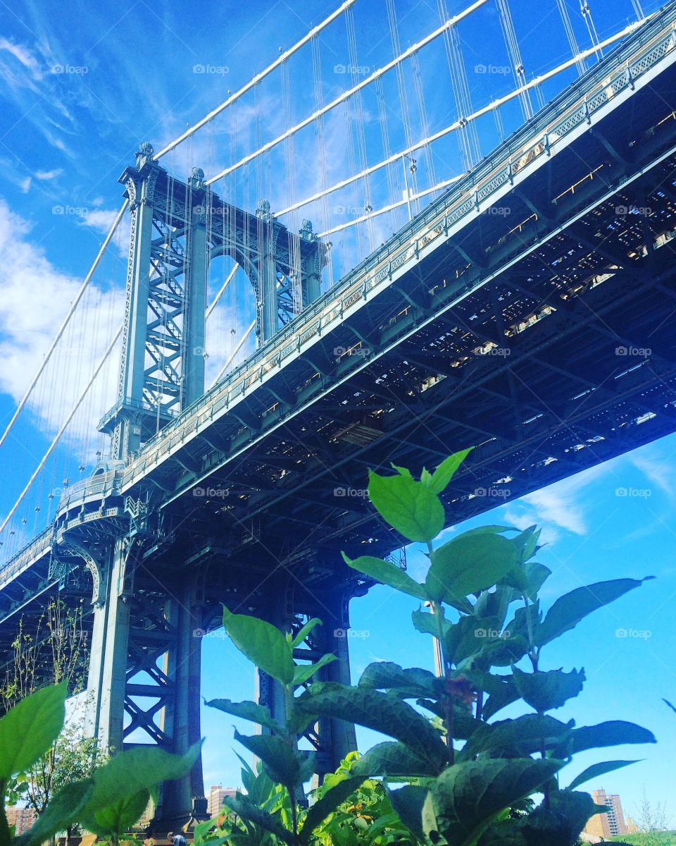 Manhattan bridge