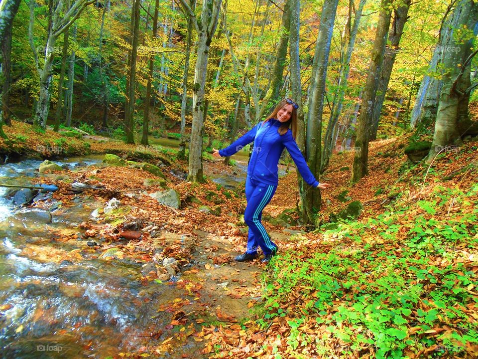 Magical forest in autumn in Romania