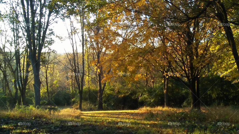 Fall Morning at Codorus State Park Pennsylvania