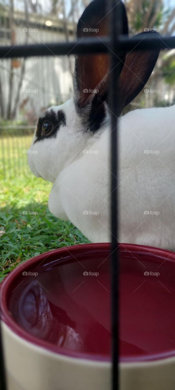 Im just thinking under the sun