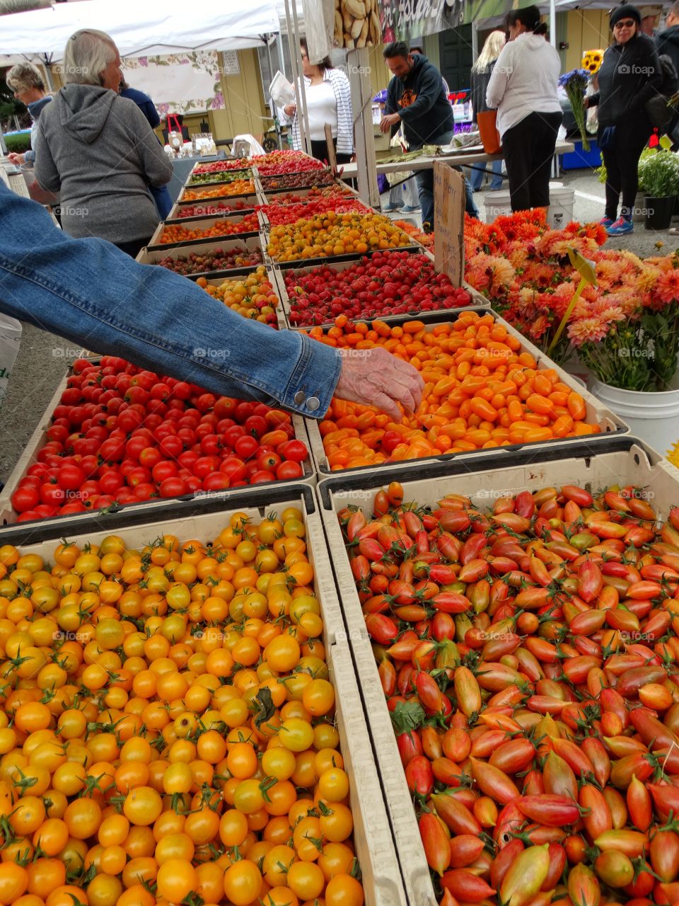 California Summertime Farmer's Market
