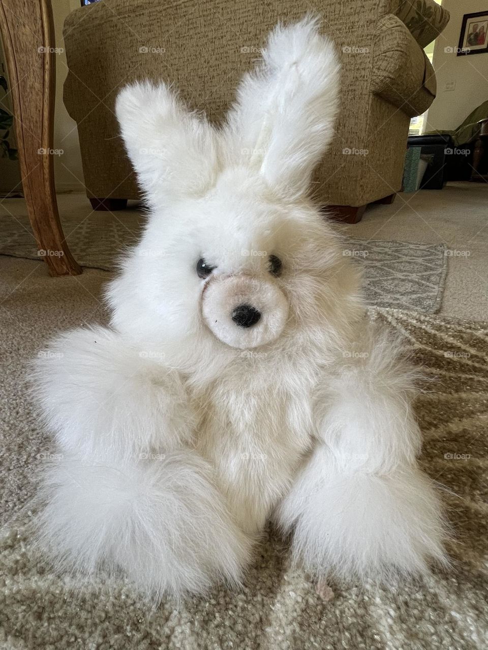 Soft furry bunny.