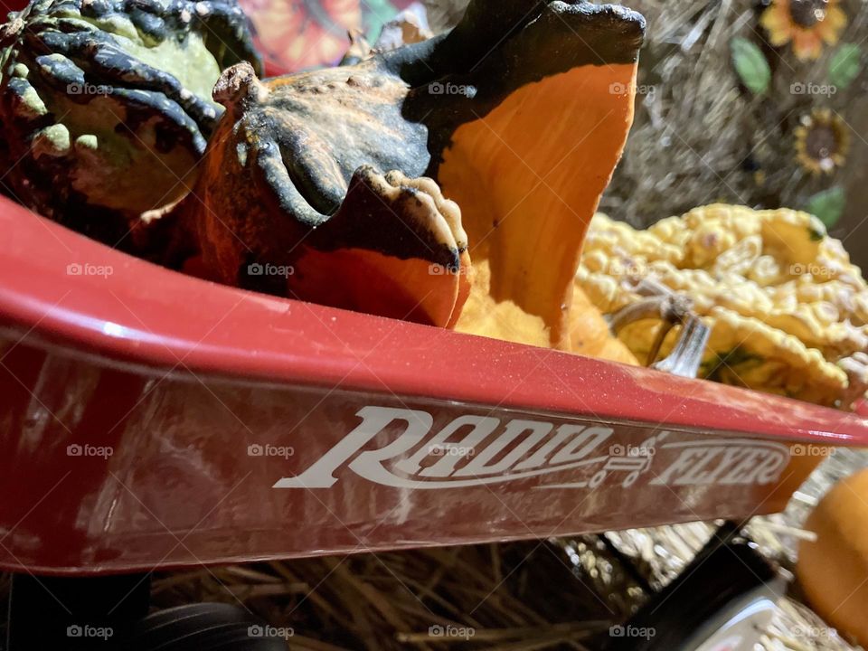 Autumn gourds in a radio flyer wagon