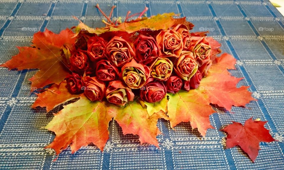 Roses made of mapleleafs. Roses made of mapleleaves