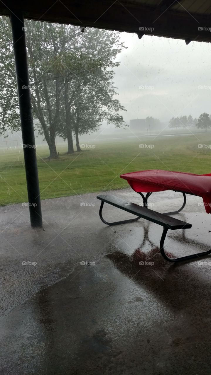 Rain at the park.