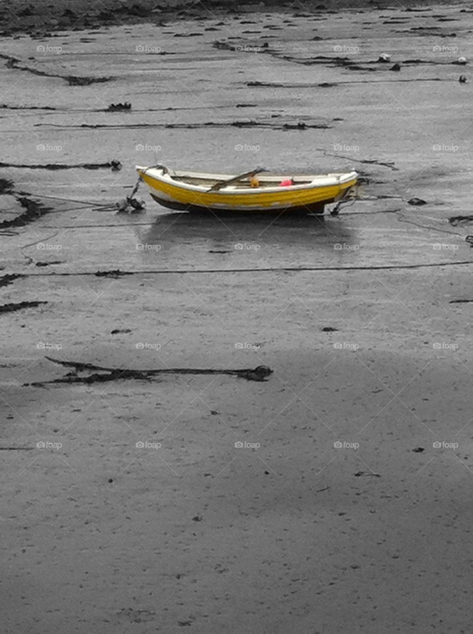 Yellow boat