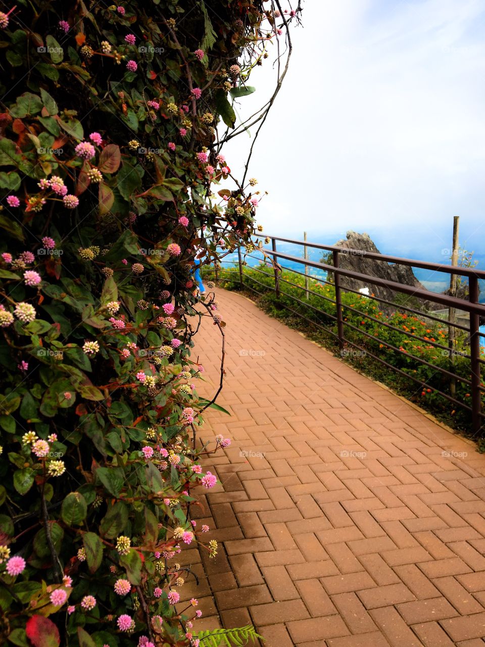 Brick sidewalk with flower bushes