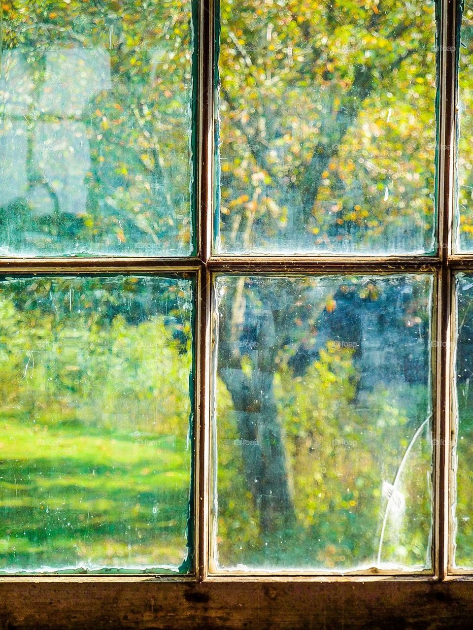 Monet Window