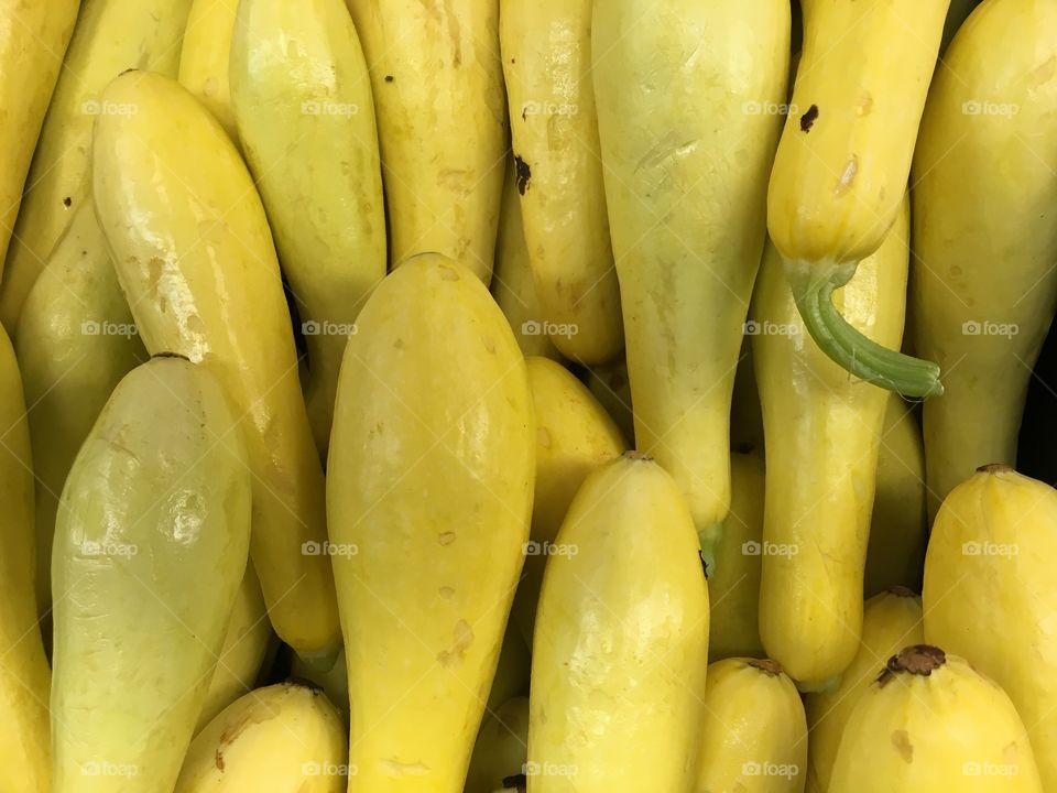 Picture of yellow squash. We have more images check out our main profile page.  Yeah or you can find: Healthy Eating, Fruit, Table, Ingredient, Directly Above, High Angle View, Green Color, Plate, Freshness, Organic, Kale, Cutting Board, Close-up, Avocado, Photography, No People, Design, Elegance, Still Life, Food and Drink, Textured, Variation, Lime, Nature, Broccoli, Herb, Rustic, Kiwi - Fruit, Basil, Beauty In Nature, Pepper - Vegetable, Cabbage, Color Image, Green Pea, Pear, Plant, Concrete, Gray, Okra, Studio Shot, Gray Background, Horizontal