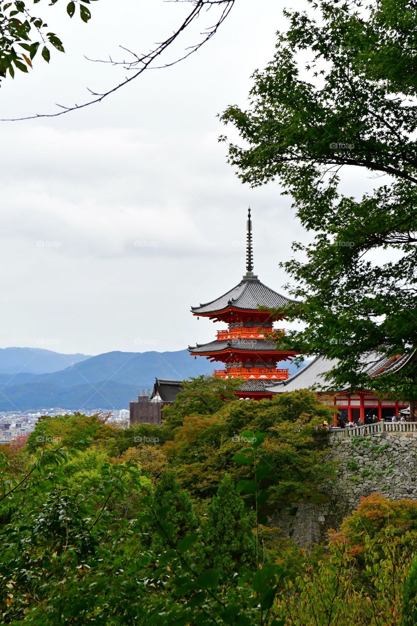 Japan's temples