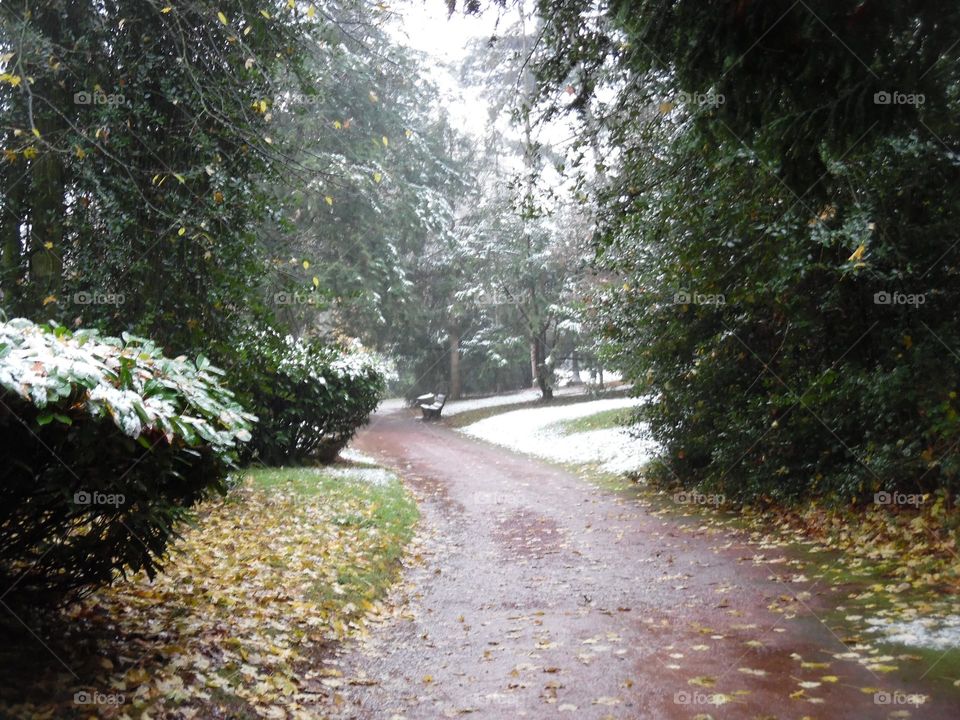 Parc de Mariemont , la Louvière