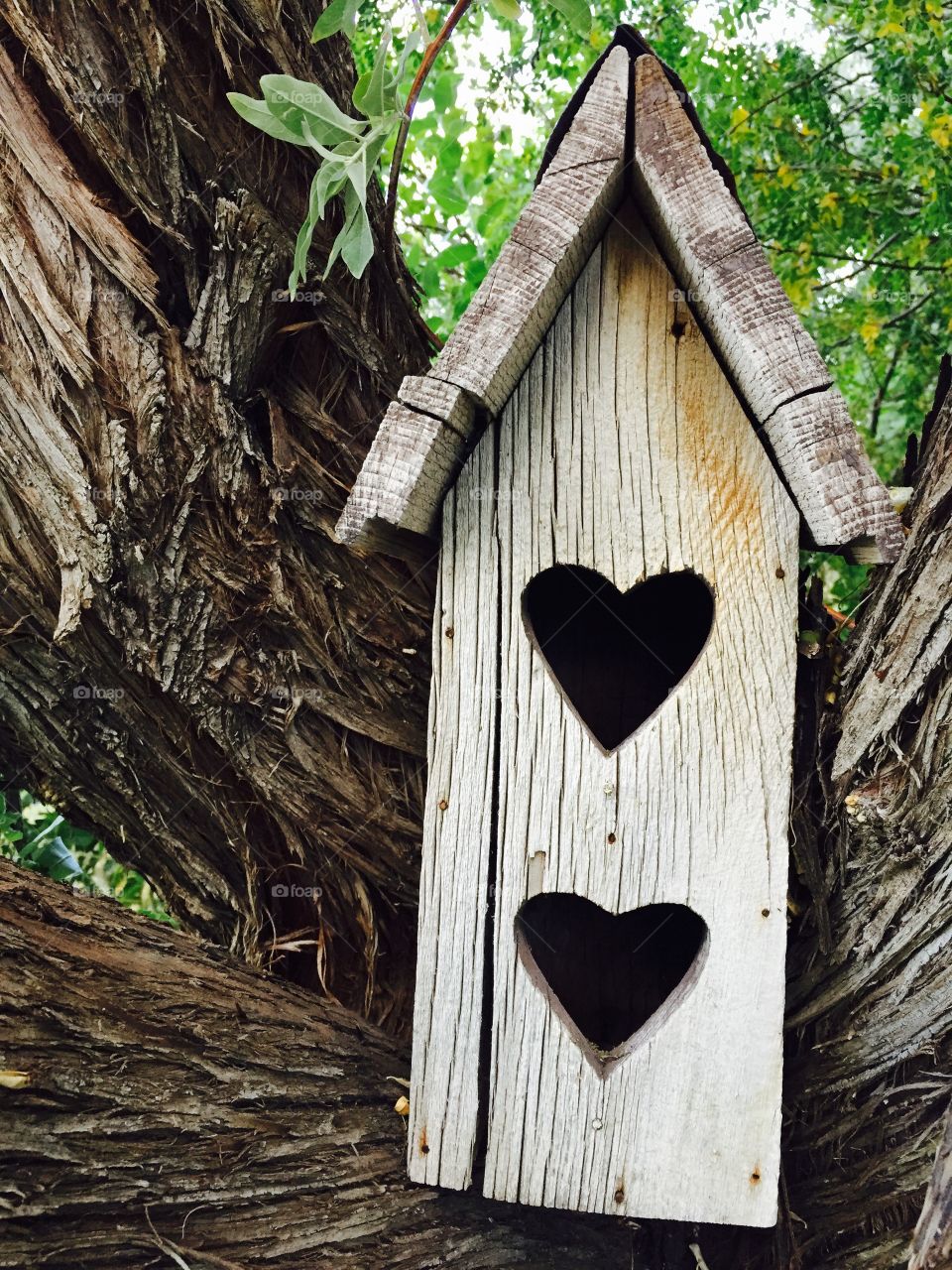 Wooden Birdhouse. A cute wooden birdhouse with heart shaped entry holes