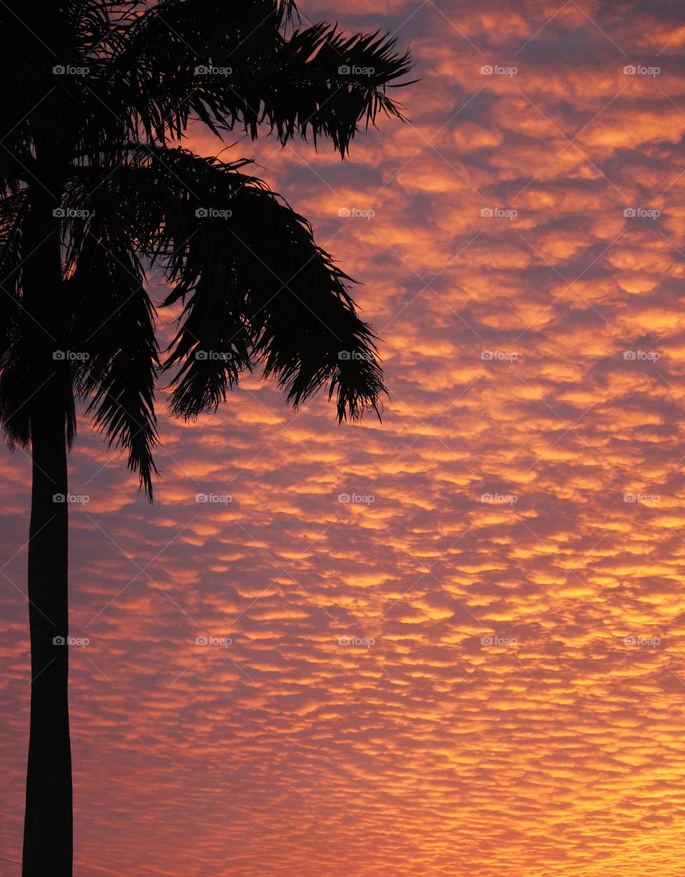Sunset in Boynton Beach, FL 3