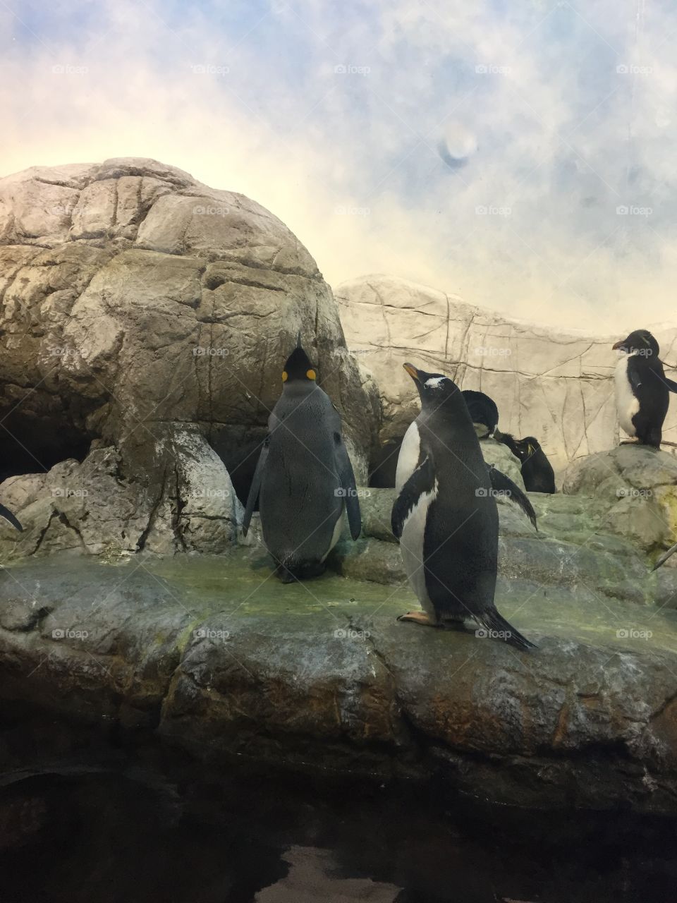 Penguin Group!