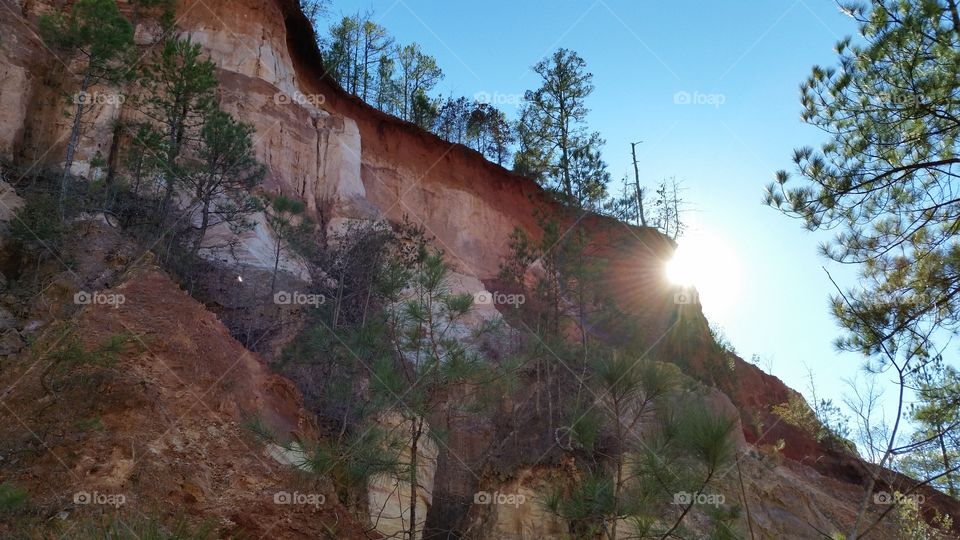Providence Canyon State Park. This photo was taken from the bottom of Georgia's Providence Canyon State Park. It is known as Georgia's Little Grand.