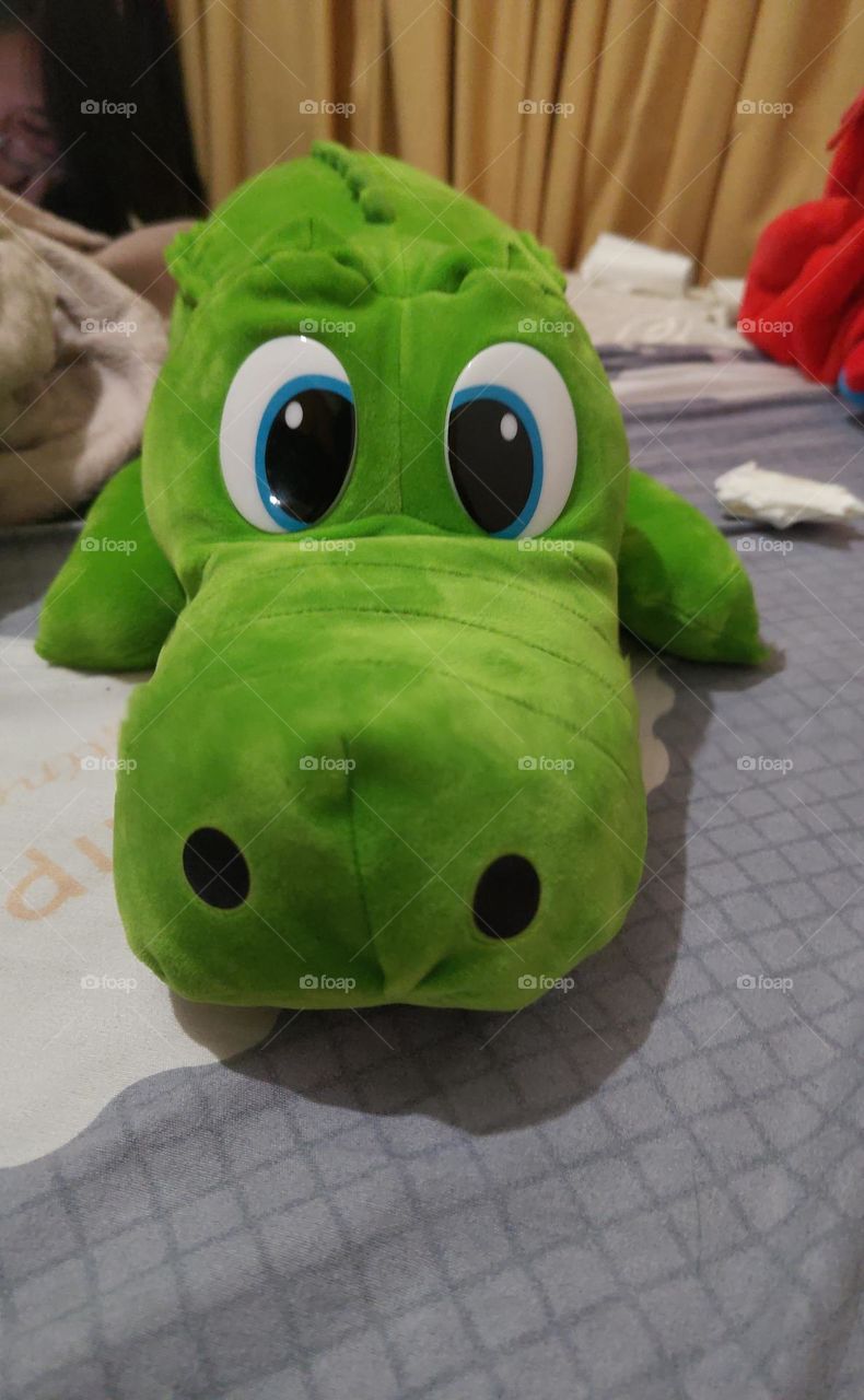 crocodile cute