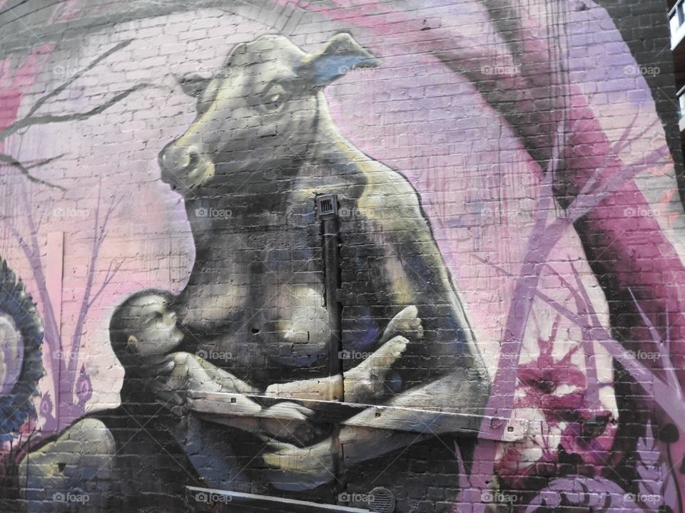 Graffiti cow 