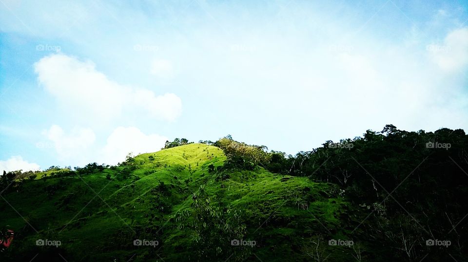 green hills