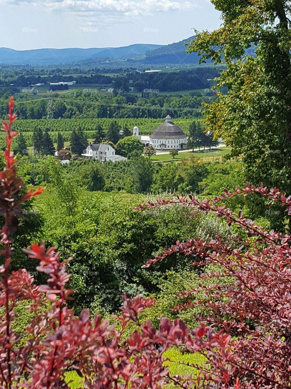 view of the farmland from the hill