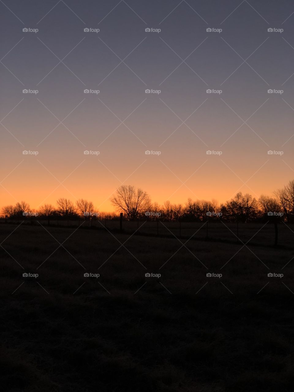 Sunset over the trees.