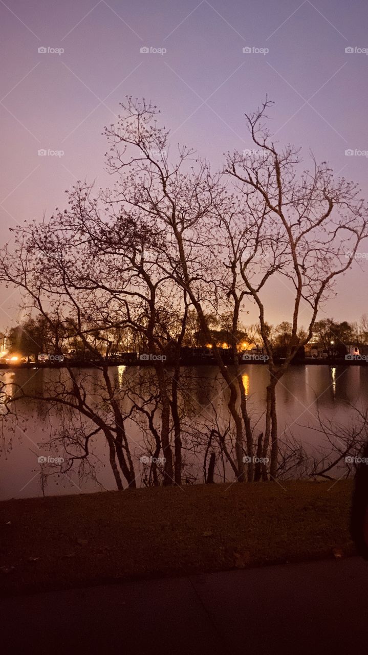Cloudy overcast conditions Lakebed Tree Front. Cross Lake, Landscape Reflections from Shore Trees & Lights Across Lake Waters. Reflections of front Trees on Lake Waters.