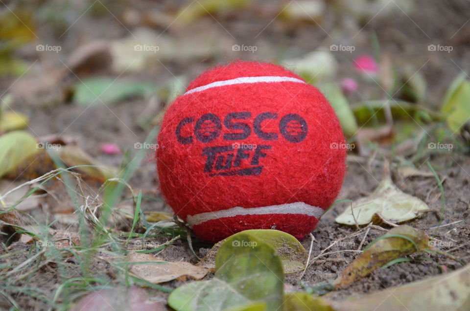 cosco tuff
ball
close up
gar