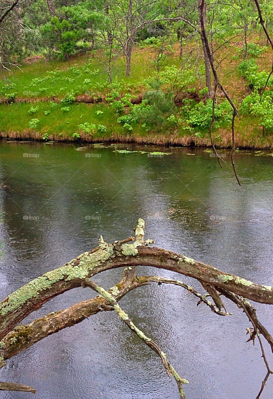 Rain on the Trout Stream