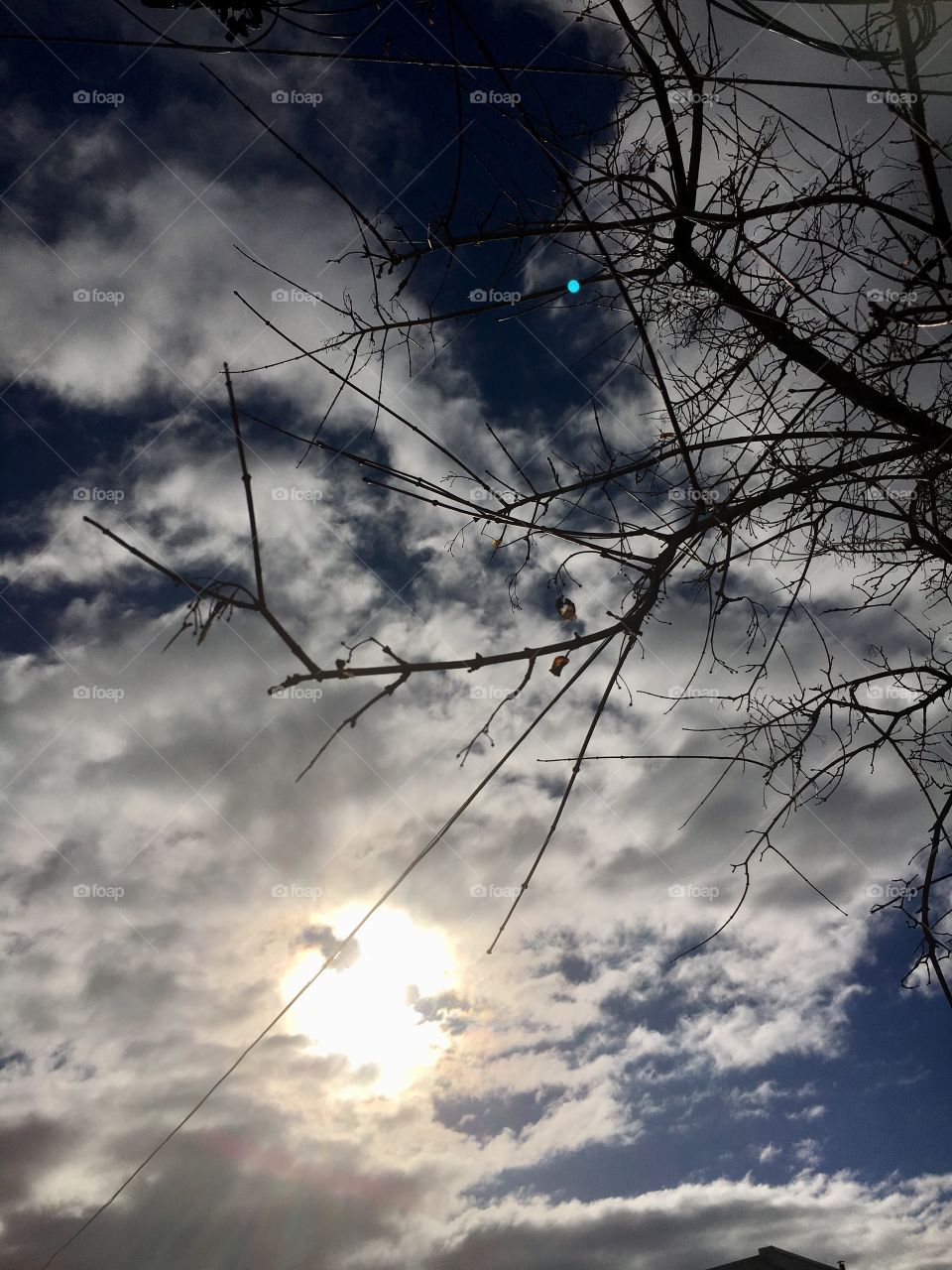 Sunshine threw the clouds 