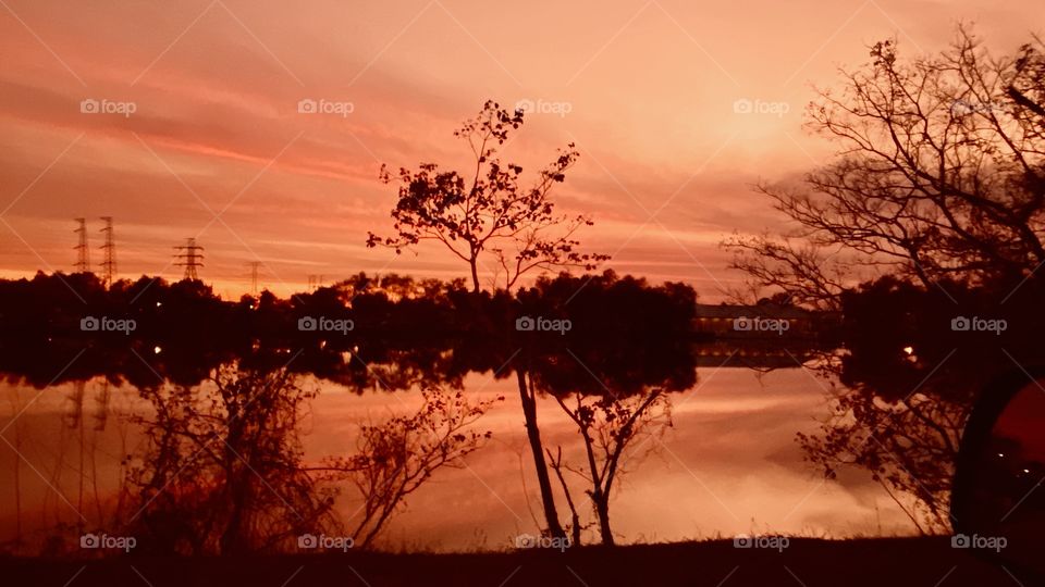 Beautiful Afternoon beginning of a gorgeous  evening. Colour palette will be firing up soon. 