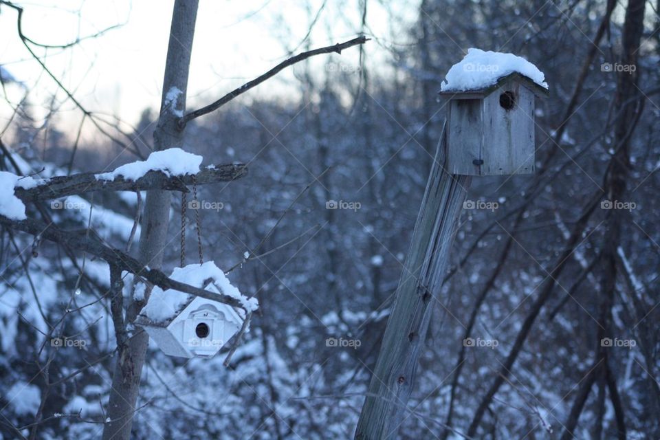 Gone South for the Winter