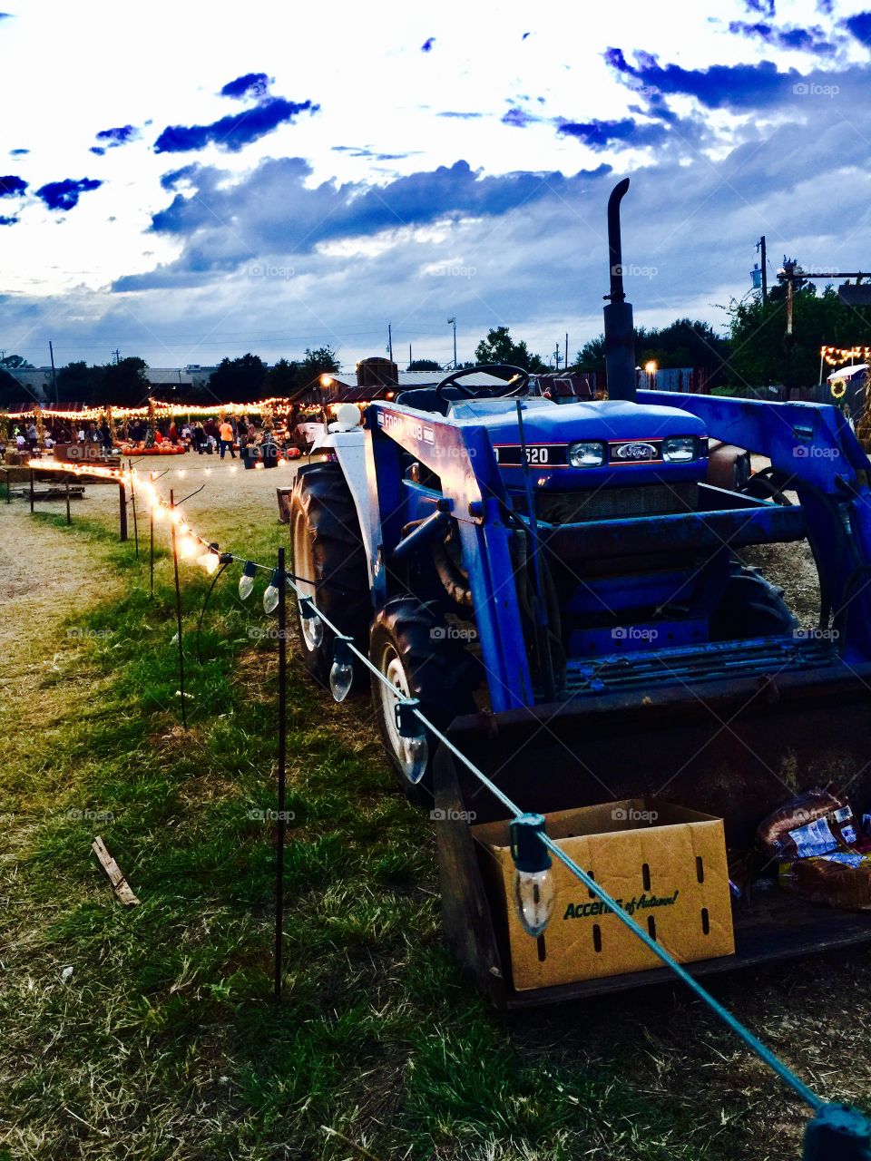 Tractor at the pumpkin patch in Dallas 