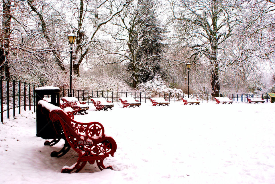 Chair in park . Taken in battersea park in winter 