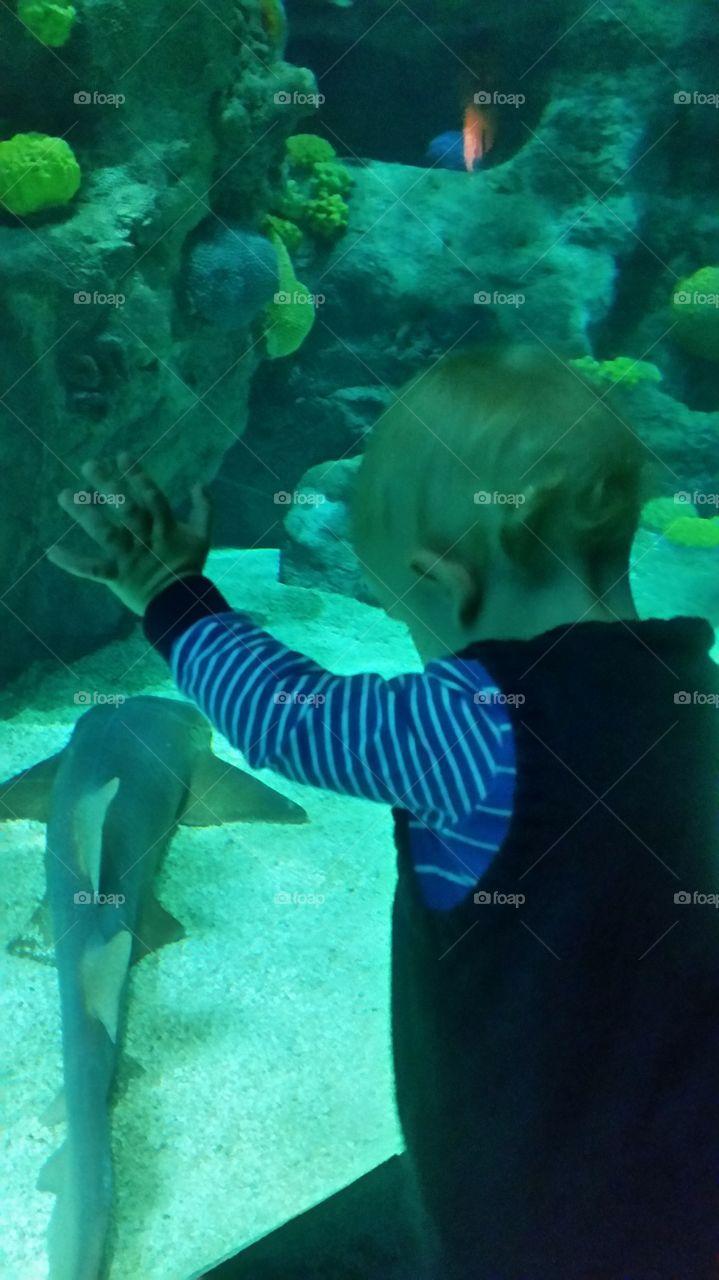 baby loves fish