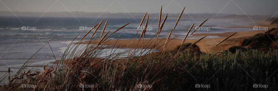 Woolamai surf Beach from a different angle 